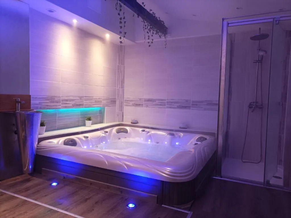 À l'ombre du Lilas - Spa privatif en option et piscine privée (Épinal, Vosges)