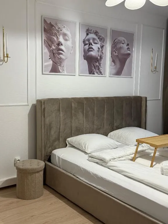 Appartement Bain à Remous, gîte avec spa à Schiltigheim - photo 2 sur 11