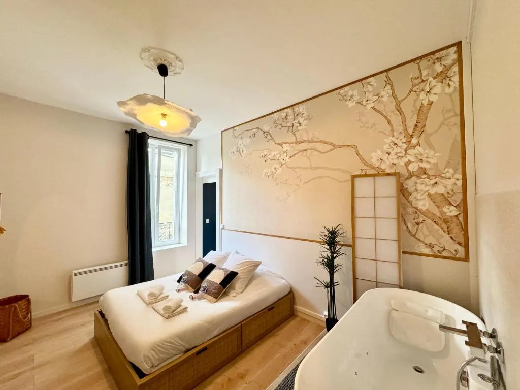 Appartement balnéo avenue de Laon, gîte avec spa à Reims - photo 2 sur 12