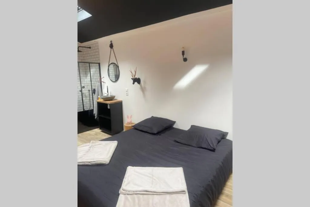 Appartement balnéo d'Amfreville, gîte avec spa à Amfreville-la-Mi-Voie - photo 2 sur 12