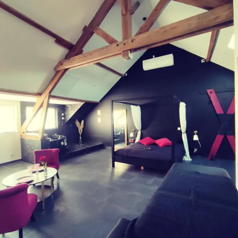 Appartement Balnéo de Montargis, gîte avec spa à Montargis - photo 2 sur 12