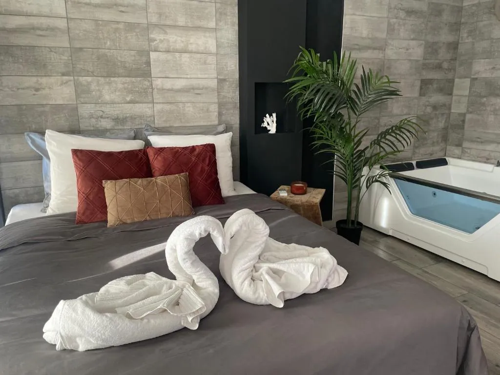 Appartement Balnéo de Saint-Cyprien, gîte avec spa à Saint-Cyprien - photo 3 sur 12
