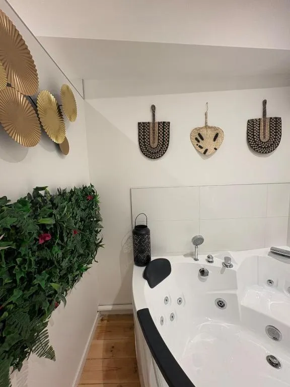 Appartement Central Balnéo, gîte avec spa à Roanne - photo 3 sur 12