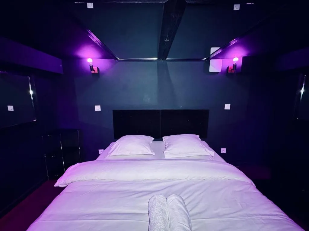 Appartement Dayan 1, gîte avec spa à Villeurbanne - photo 2 sur 12