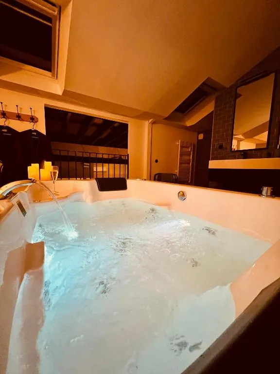 Appartement Du Bellay, gîte avec spa à Saumur - photo 3 sur 12