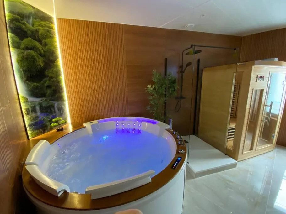 Appartement Esprit Bali, gîte avec spa à Mulhouse - photo 3 sur 10
