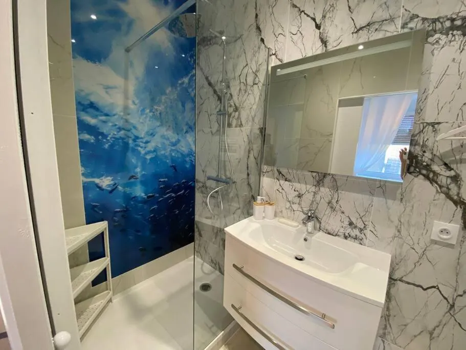 Appartement Esprit Maldives, gîte avec spa à Mulhouse - photo 3 sur 12