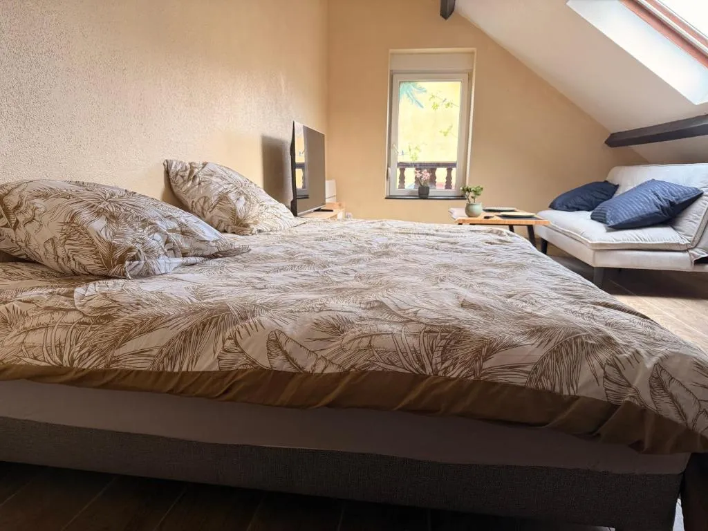 Appartement Étoile Mystérieuse, gîte avec spa à Belfort - photo 2 sur 12