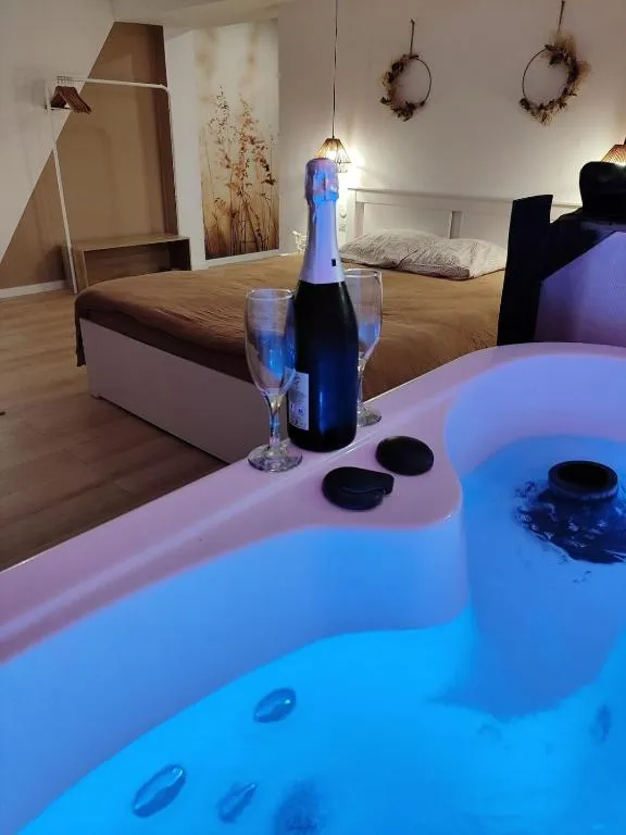 Appartement Gemmois jacuzzi, gîte avec spa à Sainte-Gemmes-sur-Loire - photo 2 sur 12