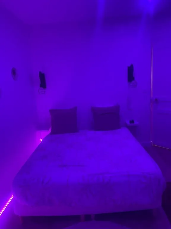 Appartement Jacuzzi Cité Gastronomique, gîte avec spa à Dijon - photo 2 sur 10