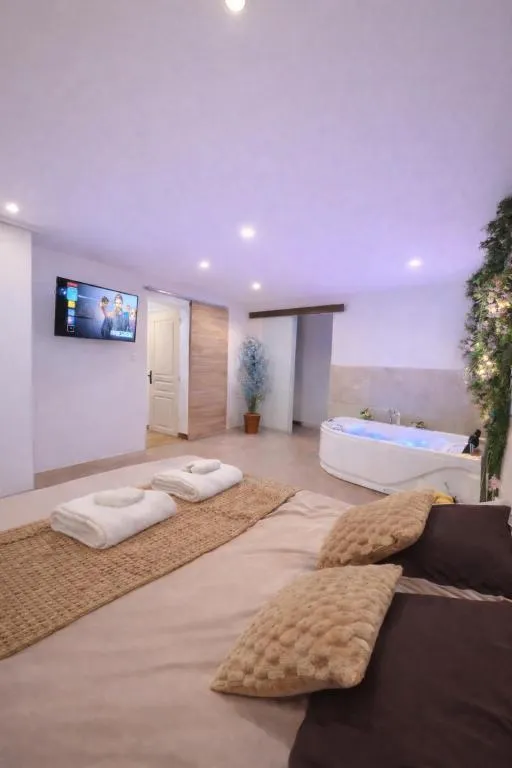 Appartement jacuzzi de Naintré, gîte avec spa à Naintré - photo 2 sur 12