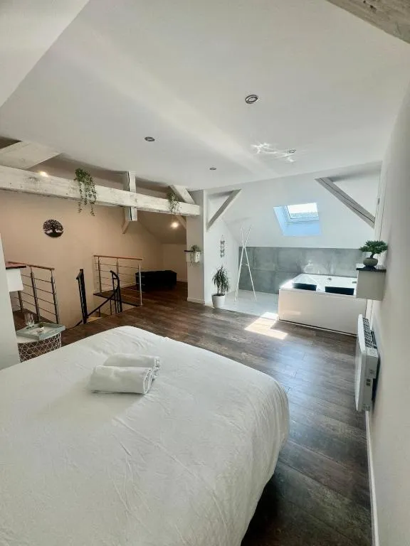 Appartement jacuzzi de Nilvange, gîte avec spa à Nilvange - photo 3 sur 12