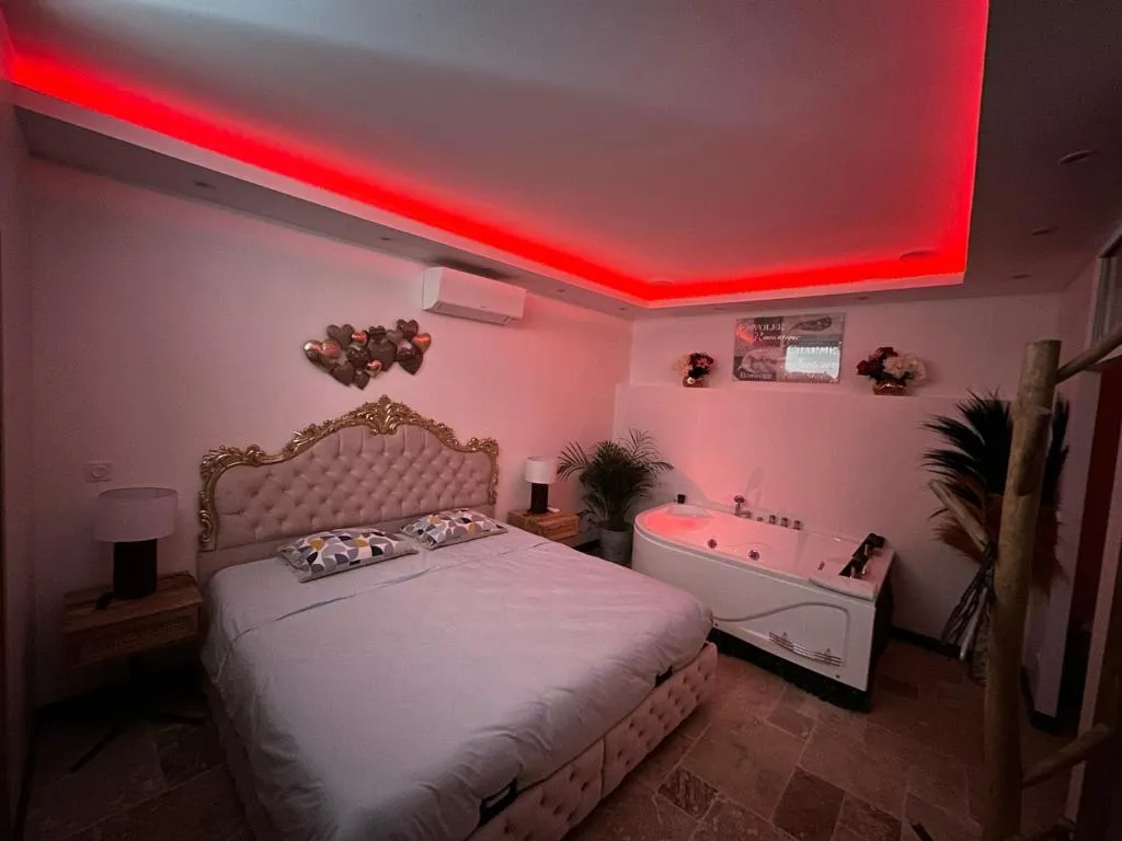 Appartement jacuzzi de Saint-Avertin, gîte avec spa à Saint-Avertin - photo 2 sur 12