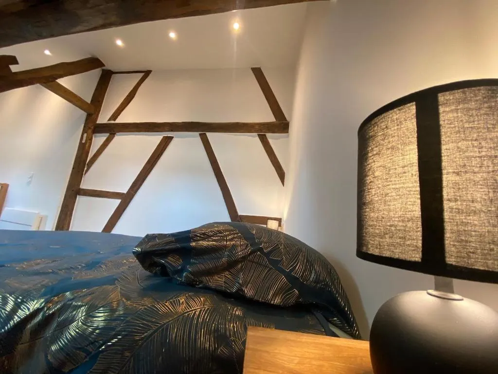 Appartement jacuzzi, gîte avec spa à Bourges - photo 3 sur 12