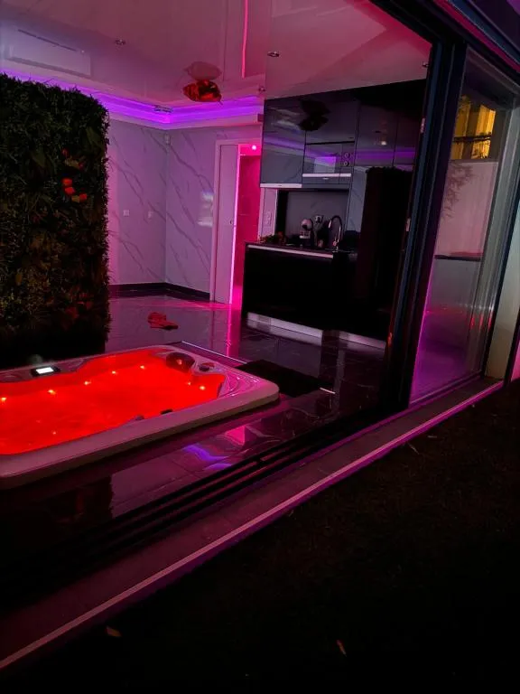 Appartement Jacuzzi et Piscine, gîte avec spa à Villiers-sur-Marne - photo 2 sur 6