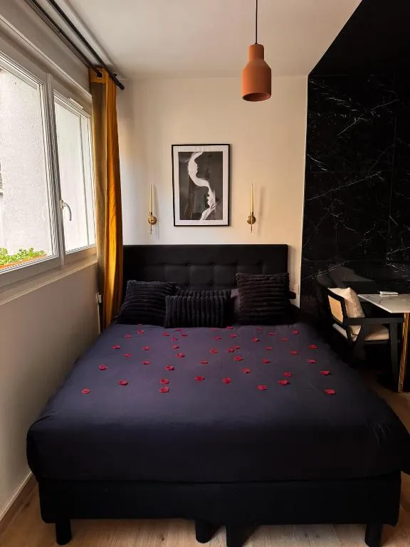 Appartement jacuzzi et sauna Ponsardin, gîte avec spa à Reims - photo 2 sur 12