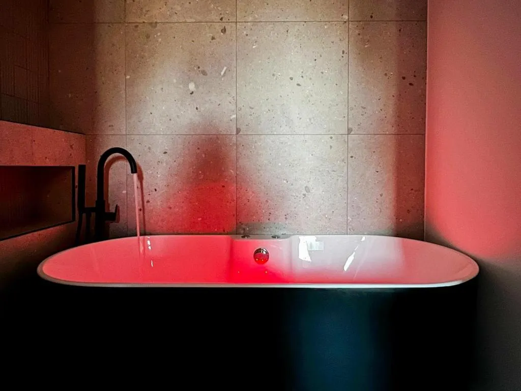 Appartement Jacuzzi et Vélos, gîte avec spa à Annecy - photo 3 sur 12