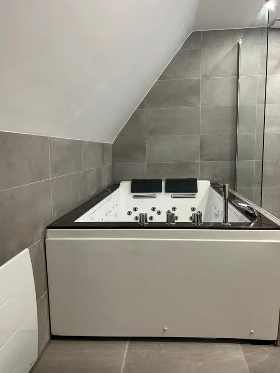 Appartement Jacuzzi Gare, gîte avec spa à Strasbourg - photo 3 sur 12