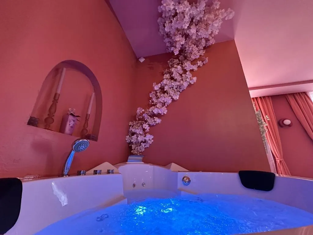 Appartement Jacuzzi Hyper-Centre, gîte avec spa à Mâcon - photo 3 sur 12