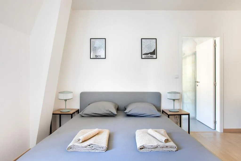 Appartement jacuzzi rue du Saule, gîte avec spa à Mulhouse - photo 2 sur 12