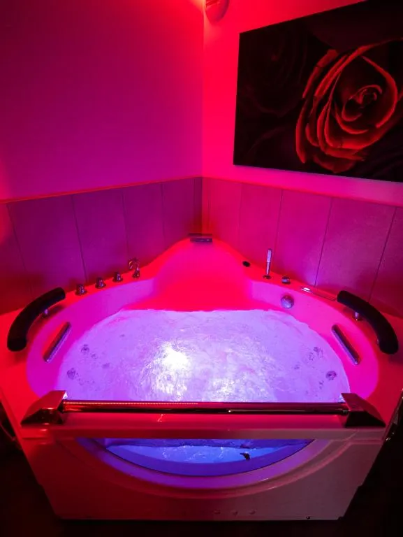 Appartement Jacuzzi Sauna Tournus, gîte avec spa à Tournus - photo 3 sur 11