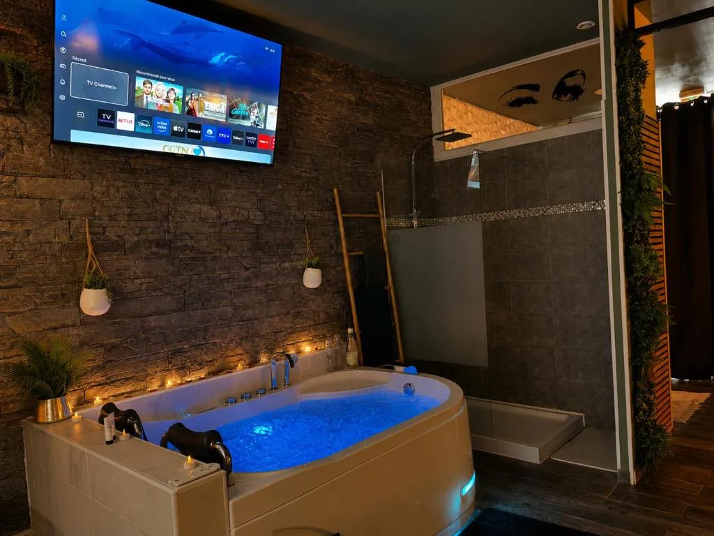 Appartement jacuzzi Victor Dalbiez, gîte avec spa à Perpignan - photo 3 sur 12