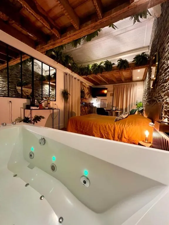 Appartement Jungle d'Angers, gîte avec spa à Angers - photo 2 sur 12