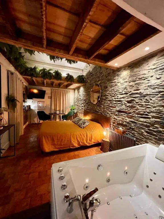 Appartement Jungle d'Angers, gîte avec spa à Angers - photo 3 sur 12