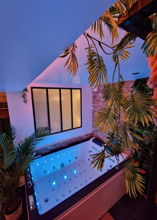 Appartement Jungle de Serris, gîte avec spa à Serris - photo 2 sur 11