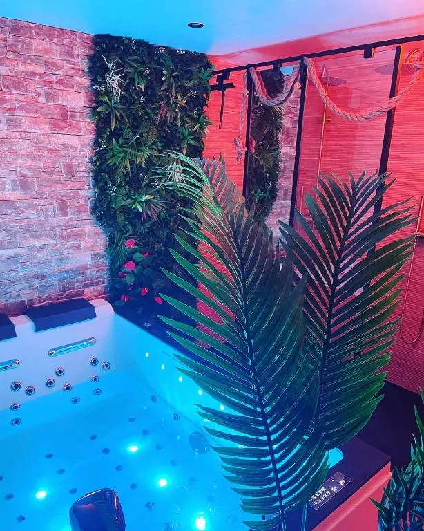 Appartement Jungle de Serris, gîte avec spa à Serris - photo 3 sur 11