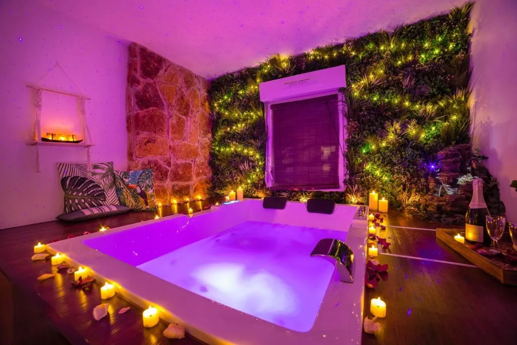 Appartement L'Évasion Nature - Spa, sauna et parking gratuit à Troyes (Troyes, Aube)