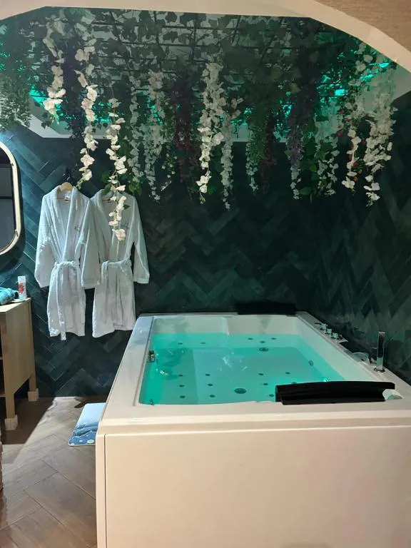Appartement La Balinaise - Bain à remous et hammam à Gaillon (Gaillon, Eure)