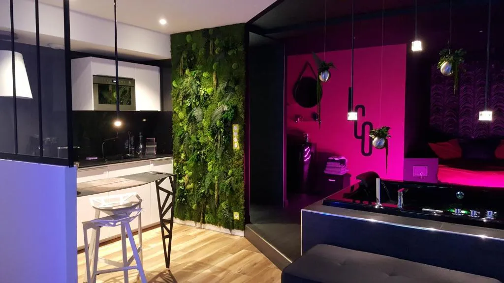 Appartement Le Clair Obscur, gîte avec spa à Nantes - photo 3 sur 10