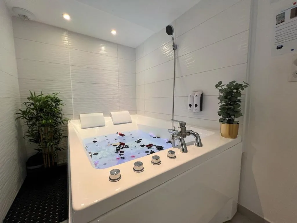 Appartement Le Manille, gîte avec spa à Nantes - photo 3 sur 12