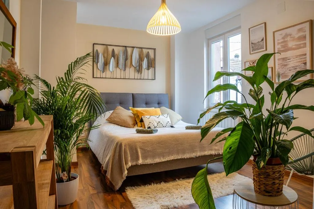 Appartement Piscine Intérieure, gîte avec spa à Mutzig - photo 2 sur 12