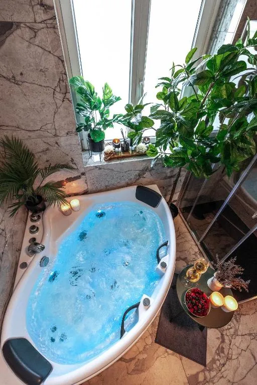 Appartement Royale Lumineux - Jacuzzi et parking privé (Mulhouse, Haut-Rhin)