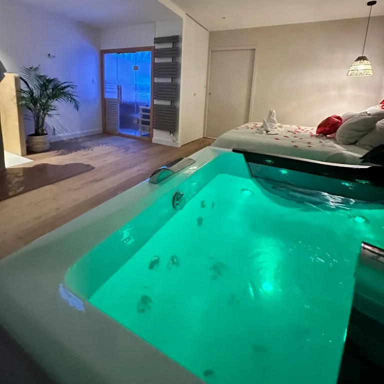 Appartement sauna de Rezé, gîte avec spa à Rezé - photo 2 sur 9