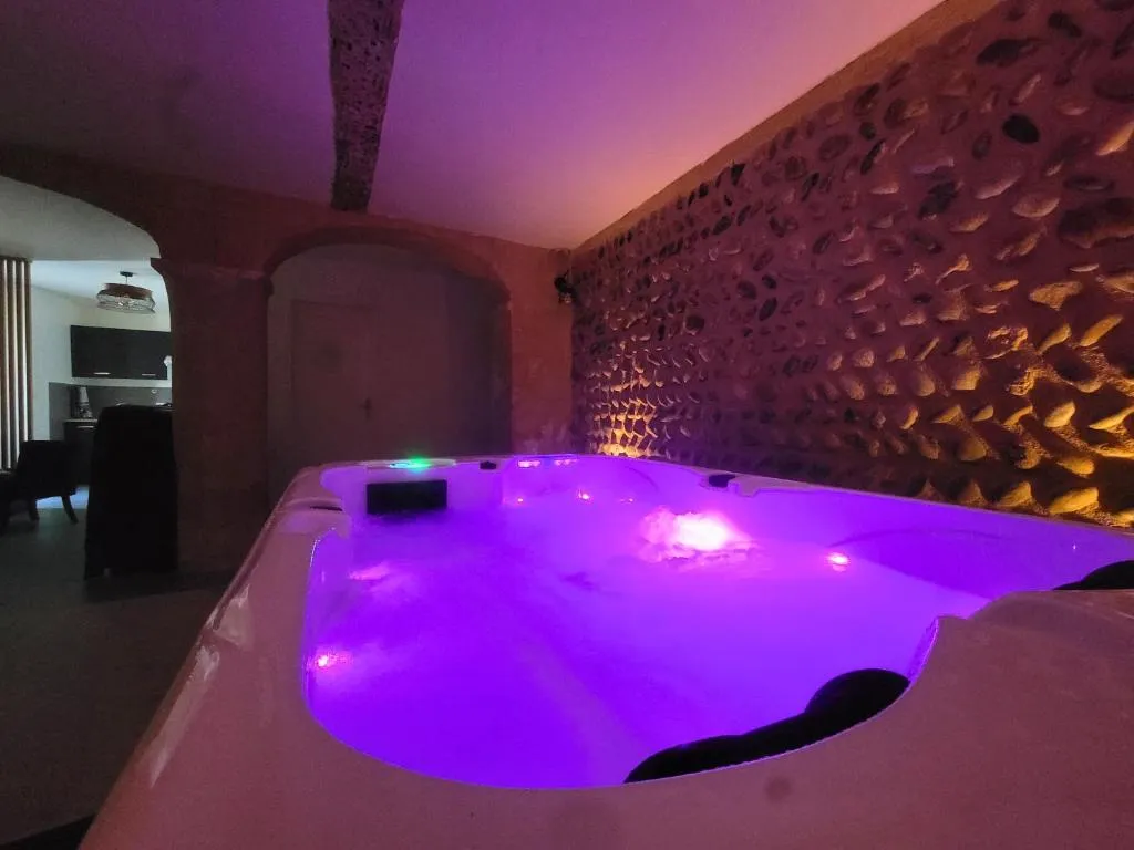 Appartement sauna de Valence, gîte avec spa à Valence - photo 3 sur 12