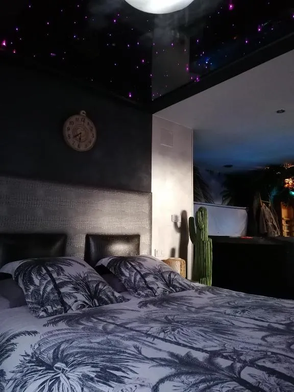 Appartement spa Au clair de lune, gîte avec spa à Chavelot - photo 2 sur 11