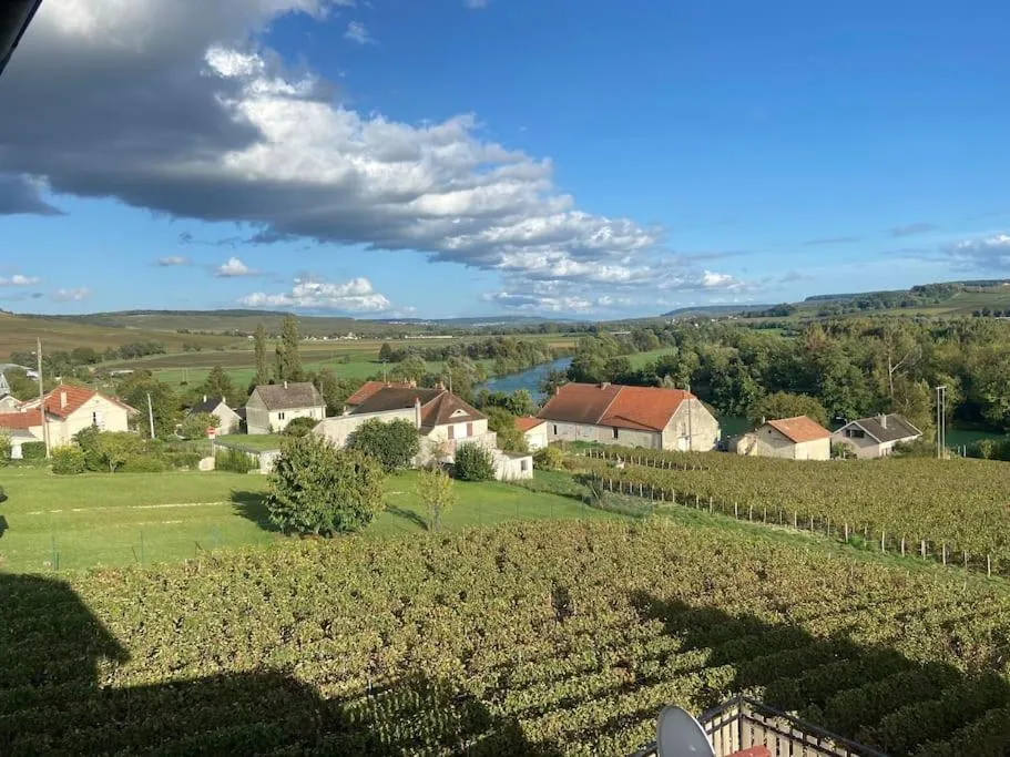 Appartement spa de la Vallée, gîte avec spa à Vincelles - photo 3 sur 10