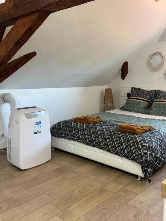 Appartement Spa du Léman, gîte avec spa à Publier - photo 2 sur 12