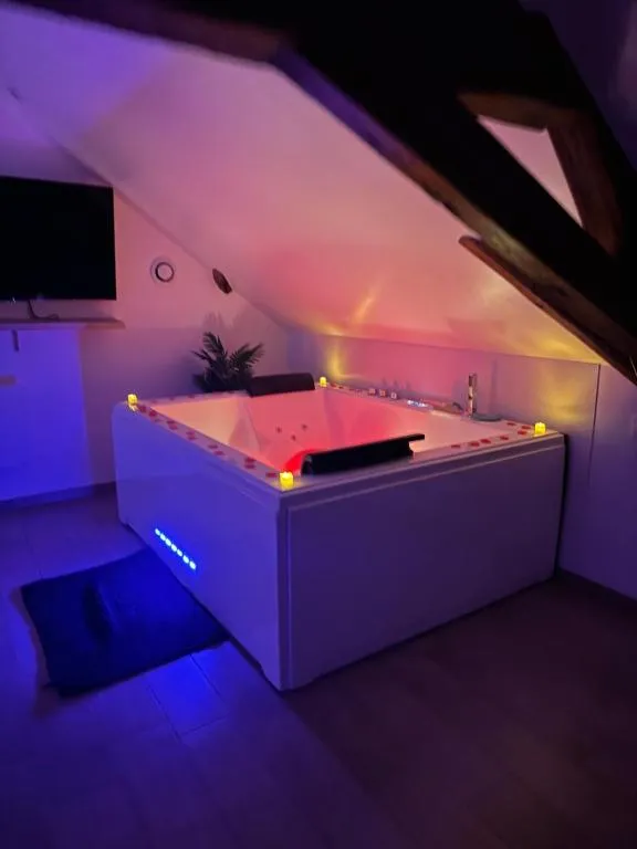 Appartement Spa du Léman, gîte avec spa à Publier - photo 3 sur 12