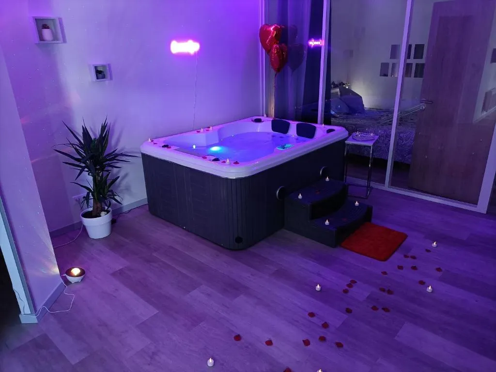 Appartement Spa du Zénith, gîte avec spa à Toulouse - photo 3 sur 12
