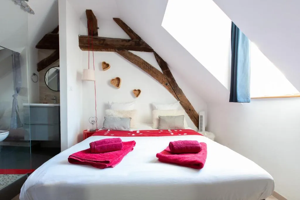 Appartement spa et bar, gîte avec spa à Dijon - photo 2 sur 12