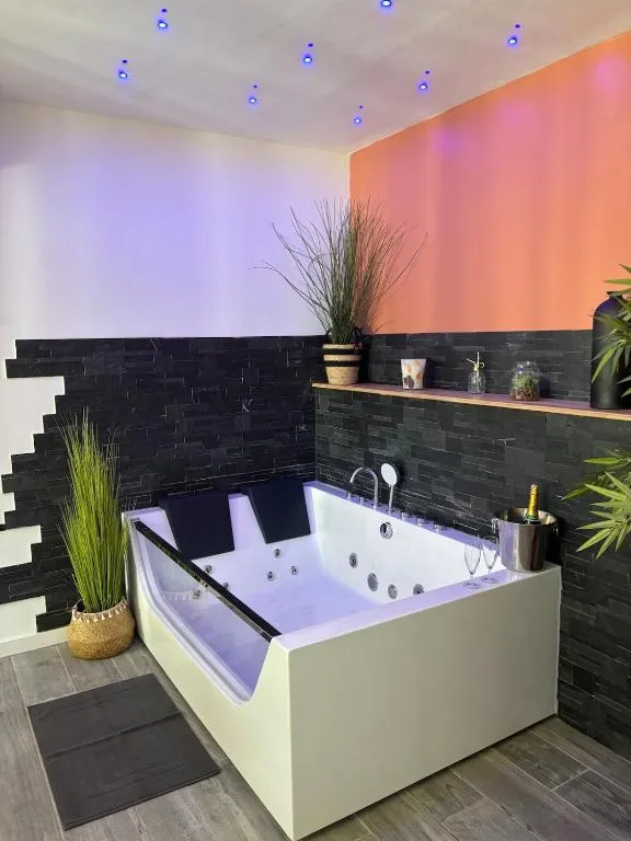 Appartement spa et sauna de Bourges, gîte avec spa à Bourges - photo 3 sur 12