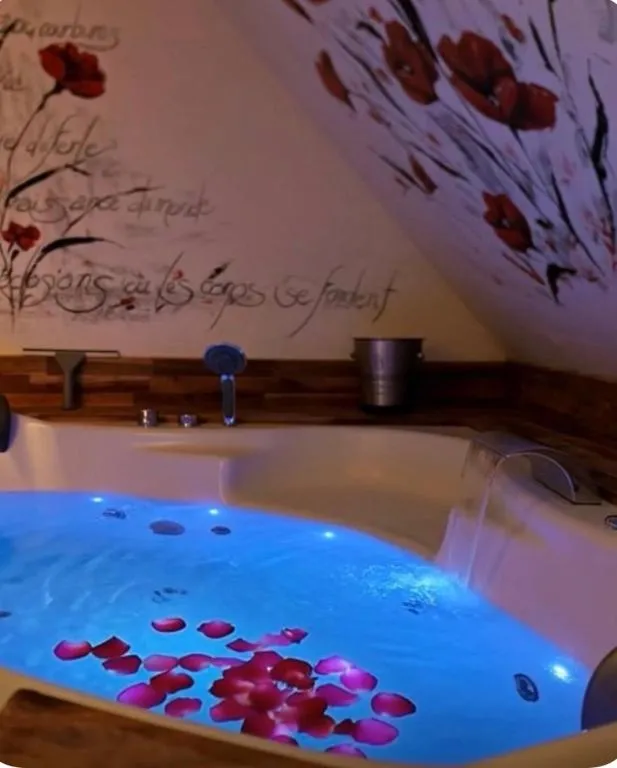 Appartement Spa Gambetta, gîte avec spa à Mâcon - photo 2 sur 10