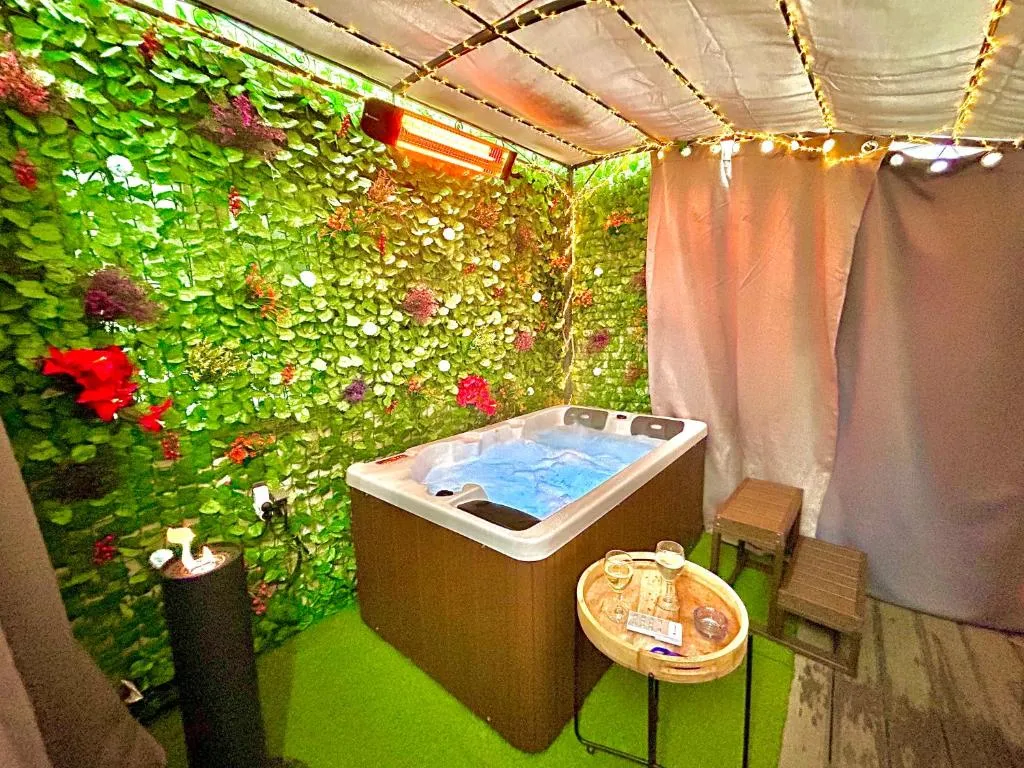 Appartement spa Jungle de Pont-sur-Yonne, gîte avec spa à Pont-sur-Yonne - photo 3 sur 12