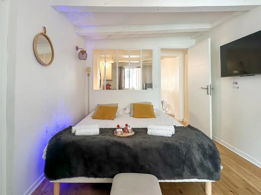 Appartement Spa Porte Sainte-Claire, gîte avec spa à Annecy - photo 2 sur 12