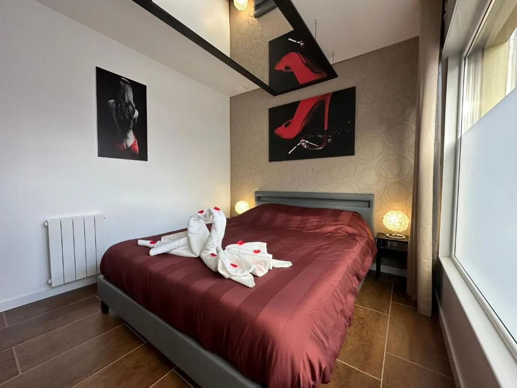 Appartement Spa Privatif de Huttenheim, gîte avec spa à Huttenheim - photo 2 sur 12