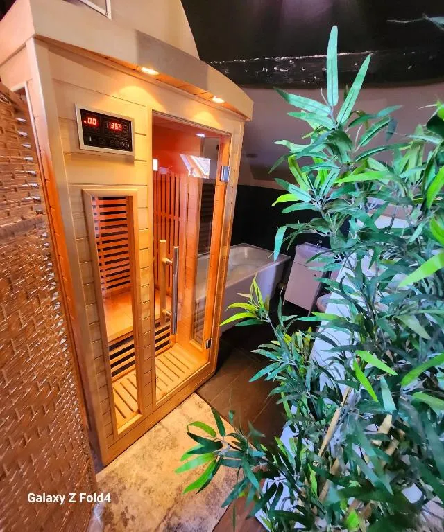 Appartement Star Wars Spa, gîte avec spa à Condé-Sainte-Libiaire - photo 2 sur 12